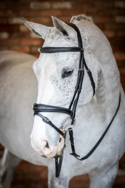 Competiton Trensenzaum