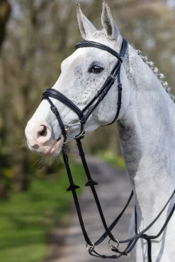 Competiton Trensenzaum