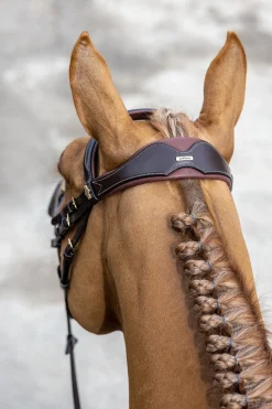 Competiton Trensenzaum