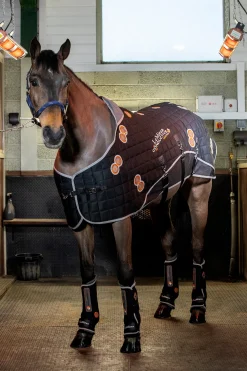 Conductive MagnoRug Magnetfelddecke