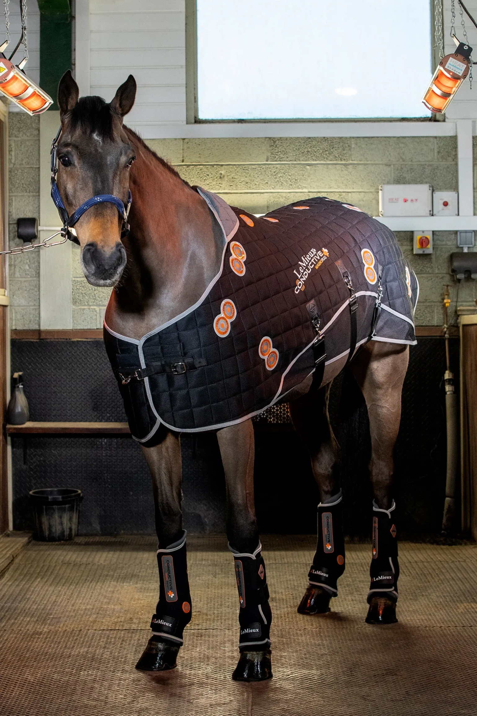 Conductive MagnoRug Magnetfelddecke