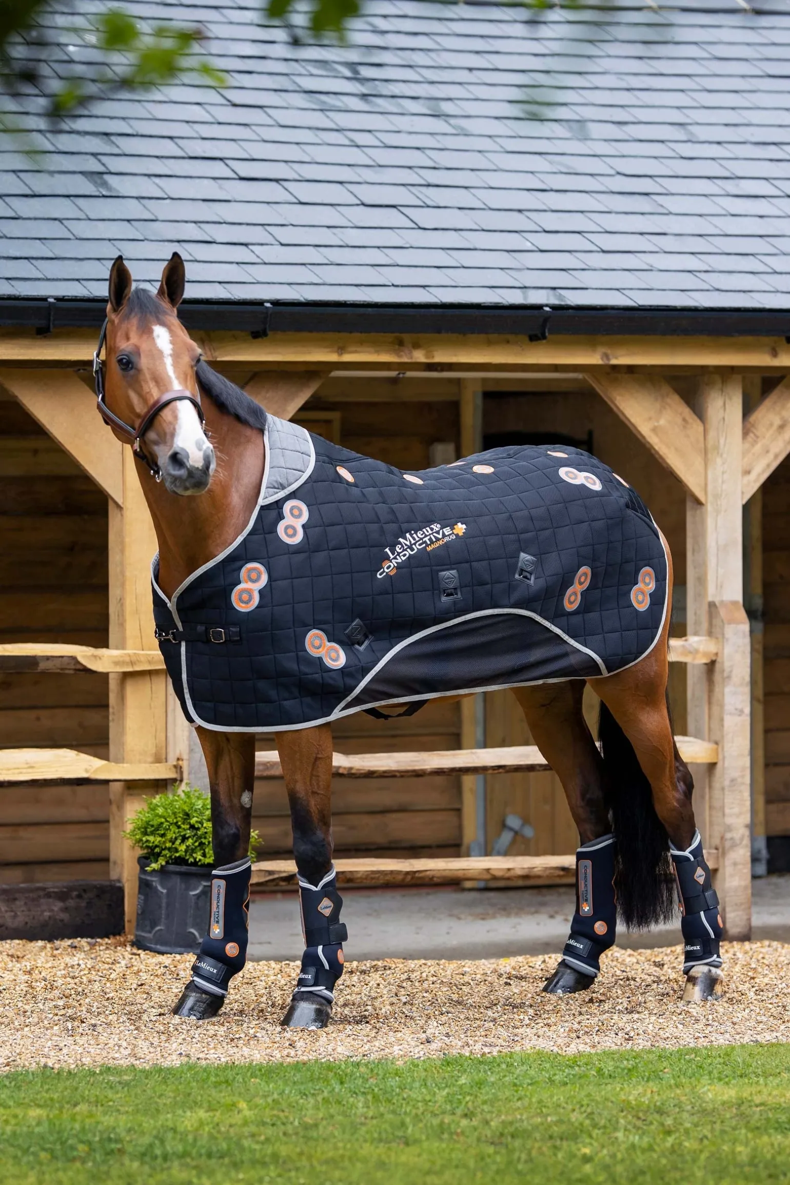 Conductive MagnoRug Magnetfelddecke