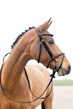 Constance weich unterlegte Trense