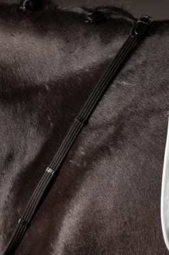 Continental Gurtzügel