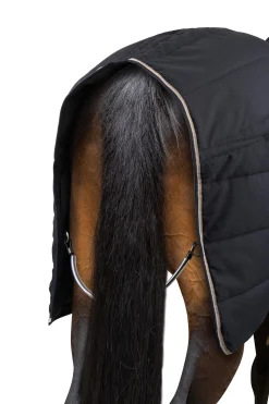 Corey Stalldecke, 250g