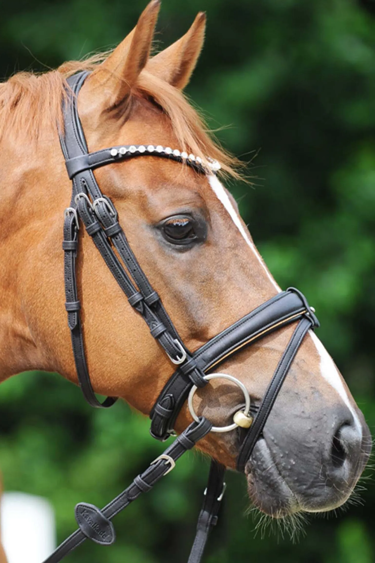 Cortica Vegane Kork Trense