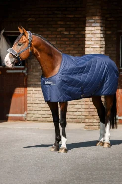 Cosy Stable Rug