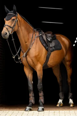 Crystal Fliegenhaube