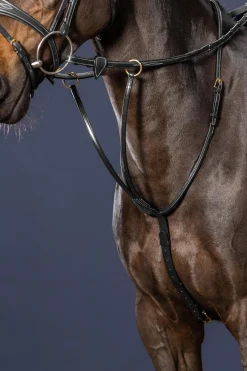 D Collection Martingal