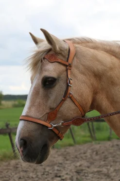Dandy Sidepull mit Zügeln (System 3)