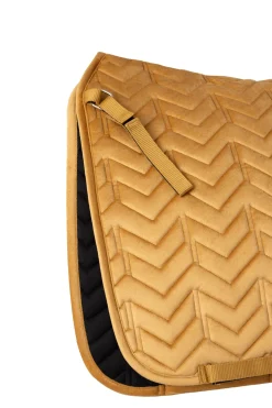 Delémont Dressur-Schabracke