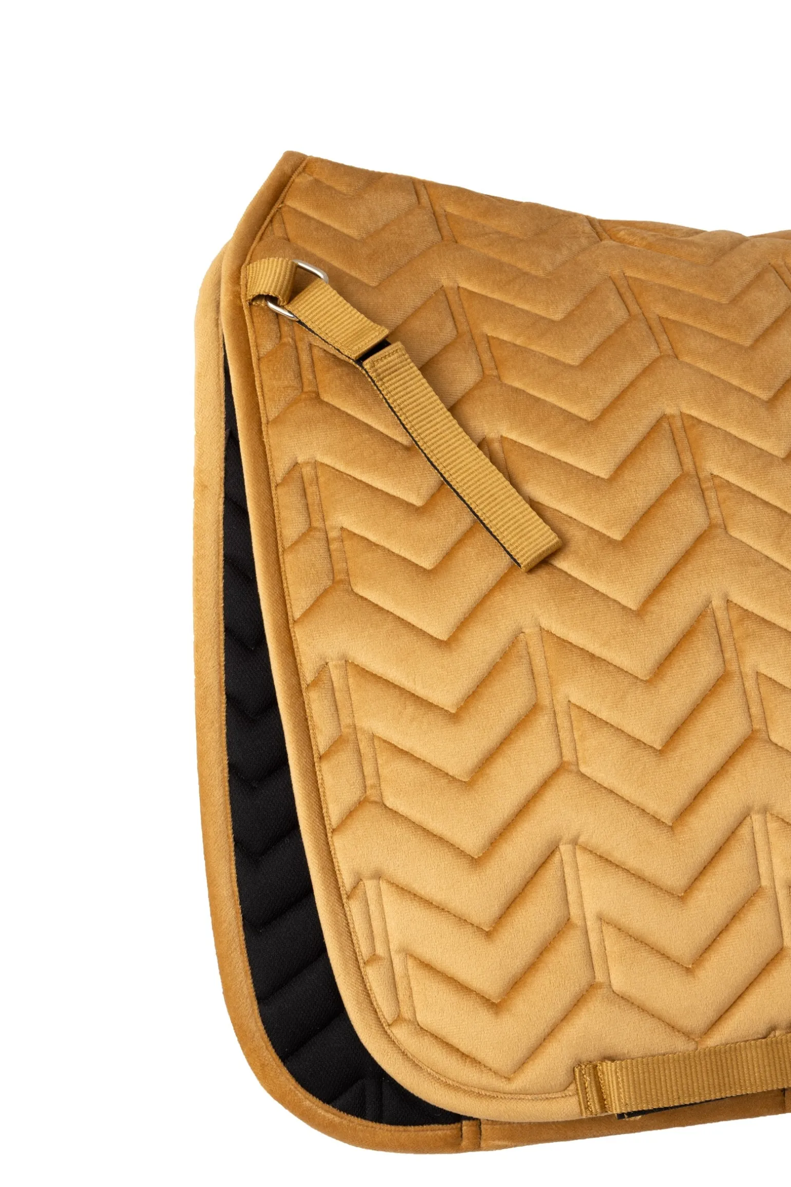 Delémont Dressur-Schabracke