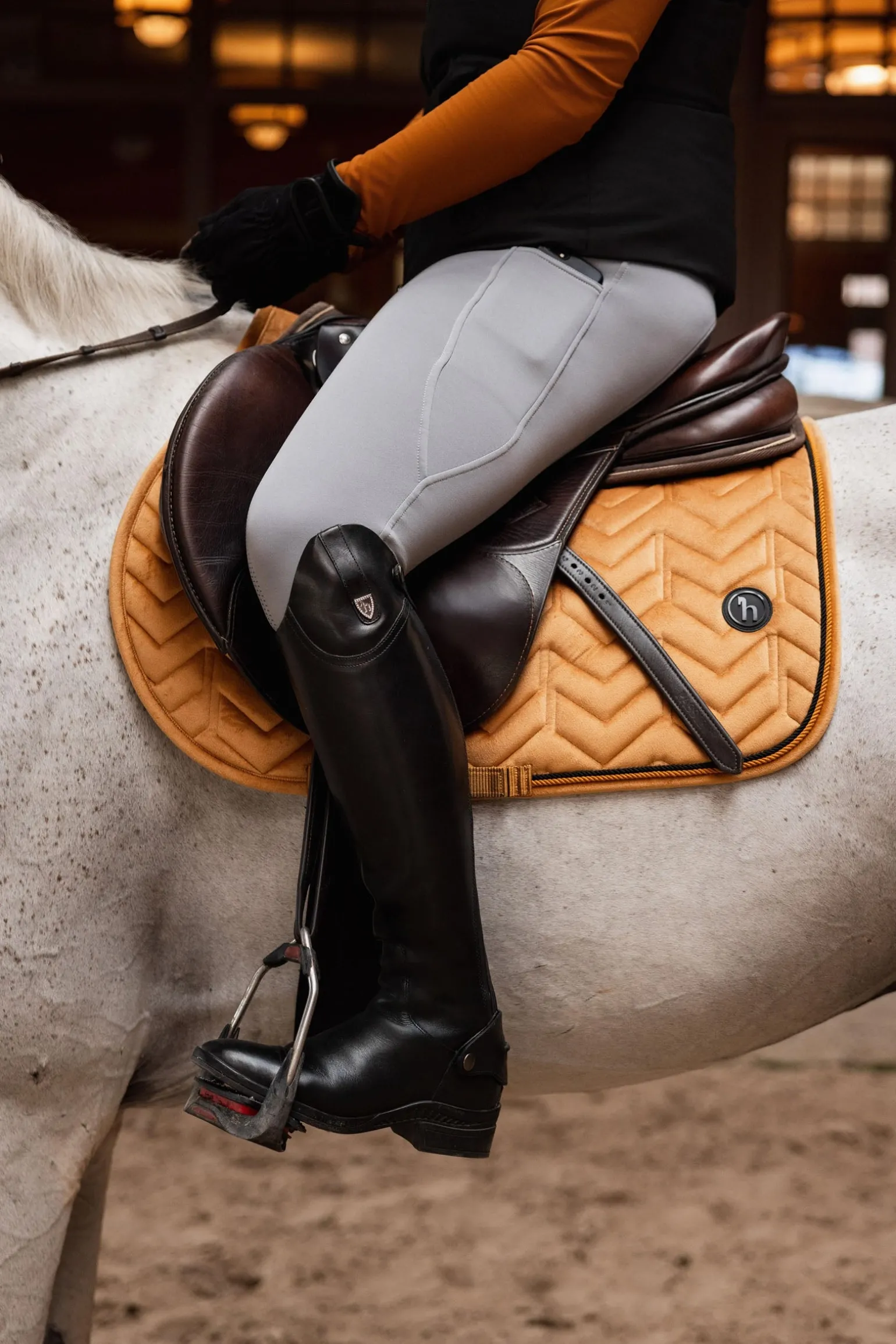 Delémont Dressur-Schabracke