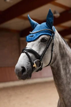 Delémont Fliegenhaube