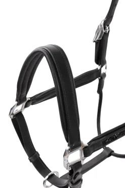 Delémont Lederhalfter