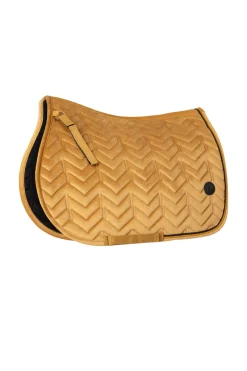 Delémont VS Schabracke