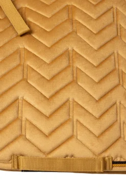 Delémont VS Schabracke