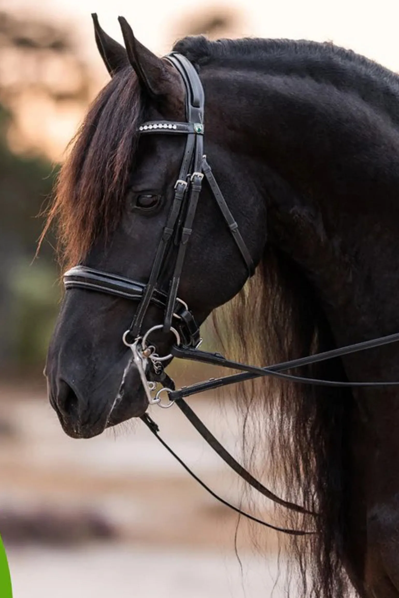 Detangler & Shine™ 118 mL