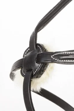 Diandro Mexikanische Trense