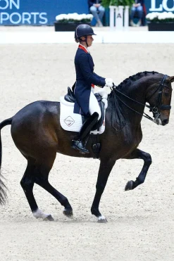 Dressage Competition Square Dressurschabracke