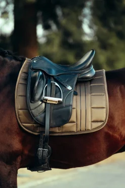 Drew Dressurschabracke