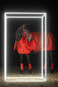 Dynamics AW25 Beta Outdoordecke, 50 g