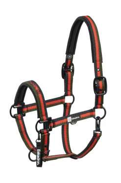 Dynamics AW25 Halfter mit Dornschnalle doppelt