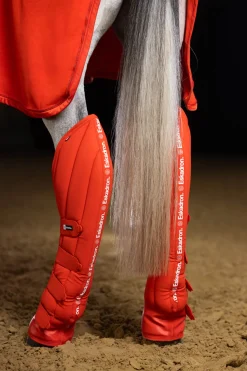 Dynamics AW25 Softshell Transportgamaschen (4er-Set)