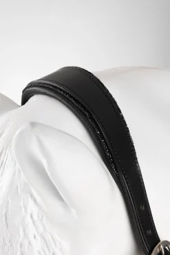 Dynasty Leder Halfter & Führstrick Set