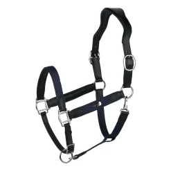 Easton Anatomisches Halfter