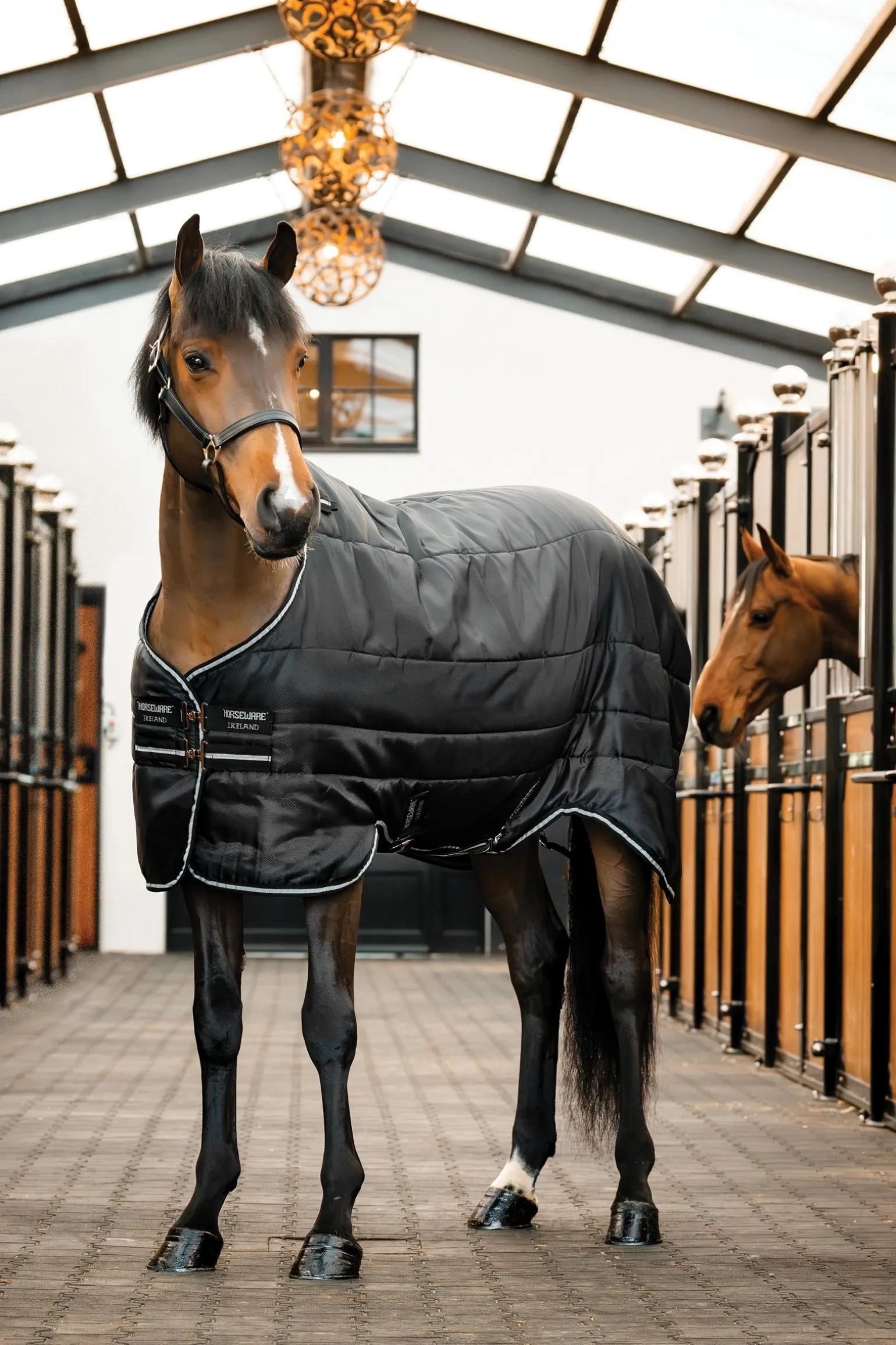 Easy-Layer Stalldecke 100g