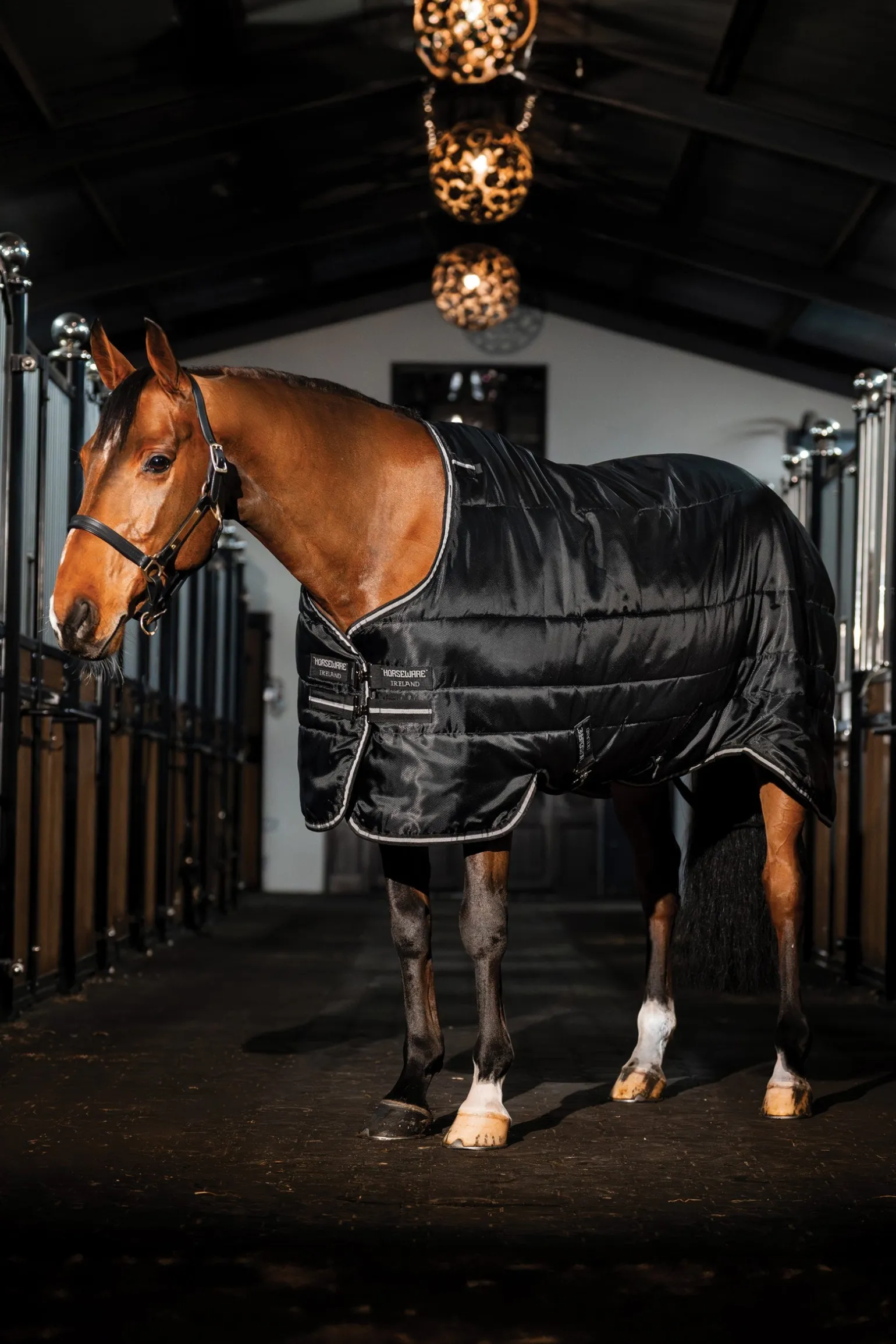 Easy-Layer Stalldecke 100g