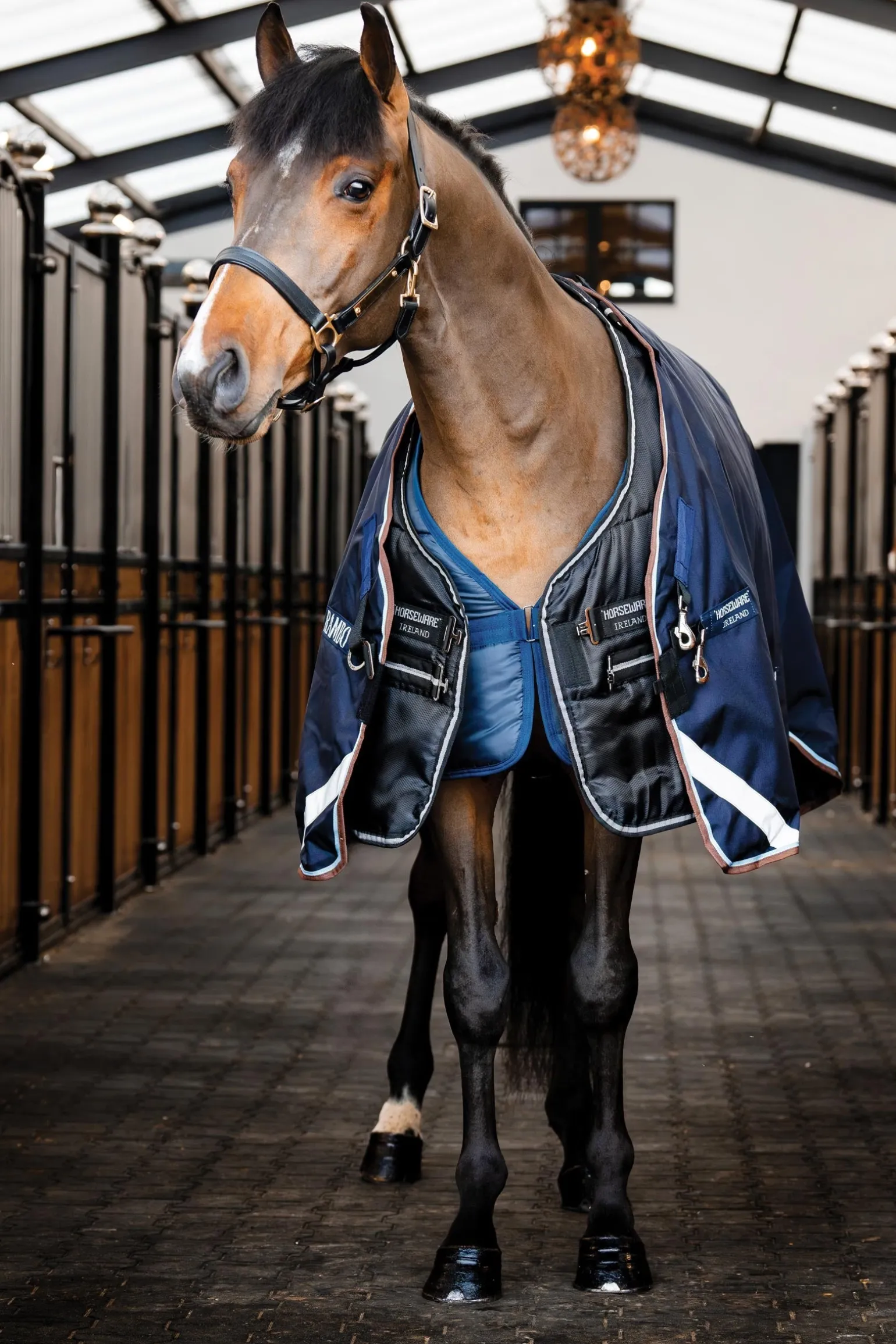 Easy-Layer Stalldecke 100g