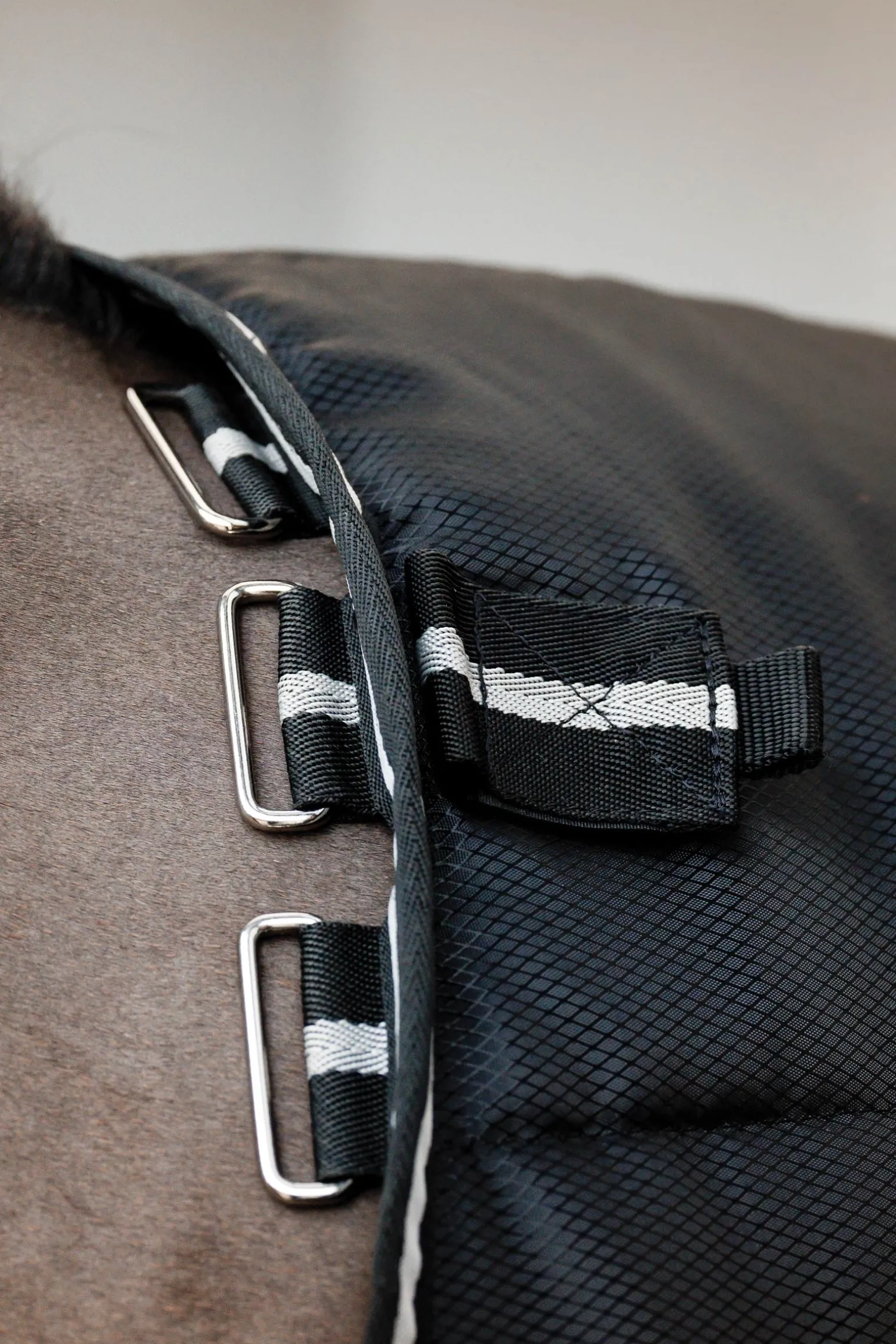 Easy-Layer Stalldecke 100g