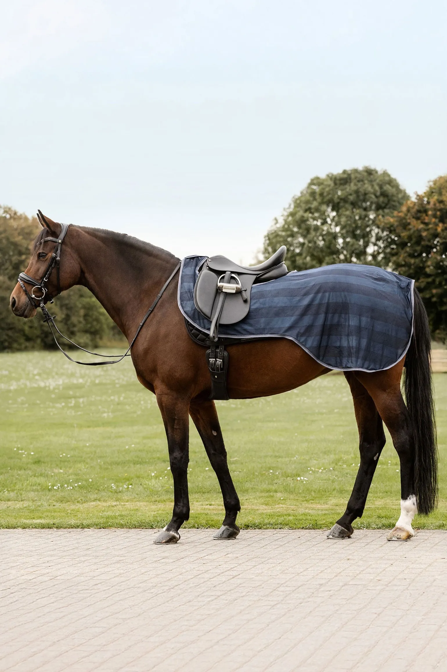 Economic Fliegen-Ausreitdecke