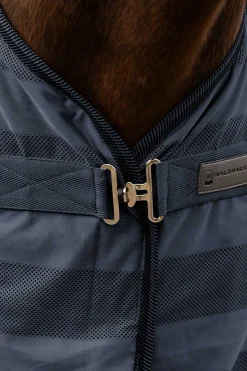 Economic Fliegendecke