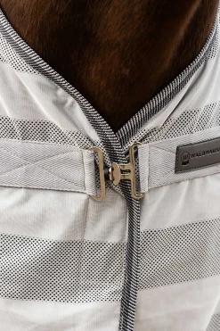 Economic Fliegendecke