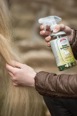 Ekzemer Sprühshampoo, 500ml