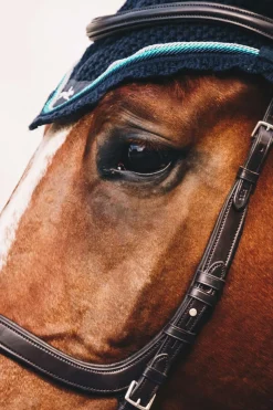 Equitus Delta Trense