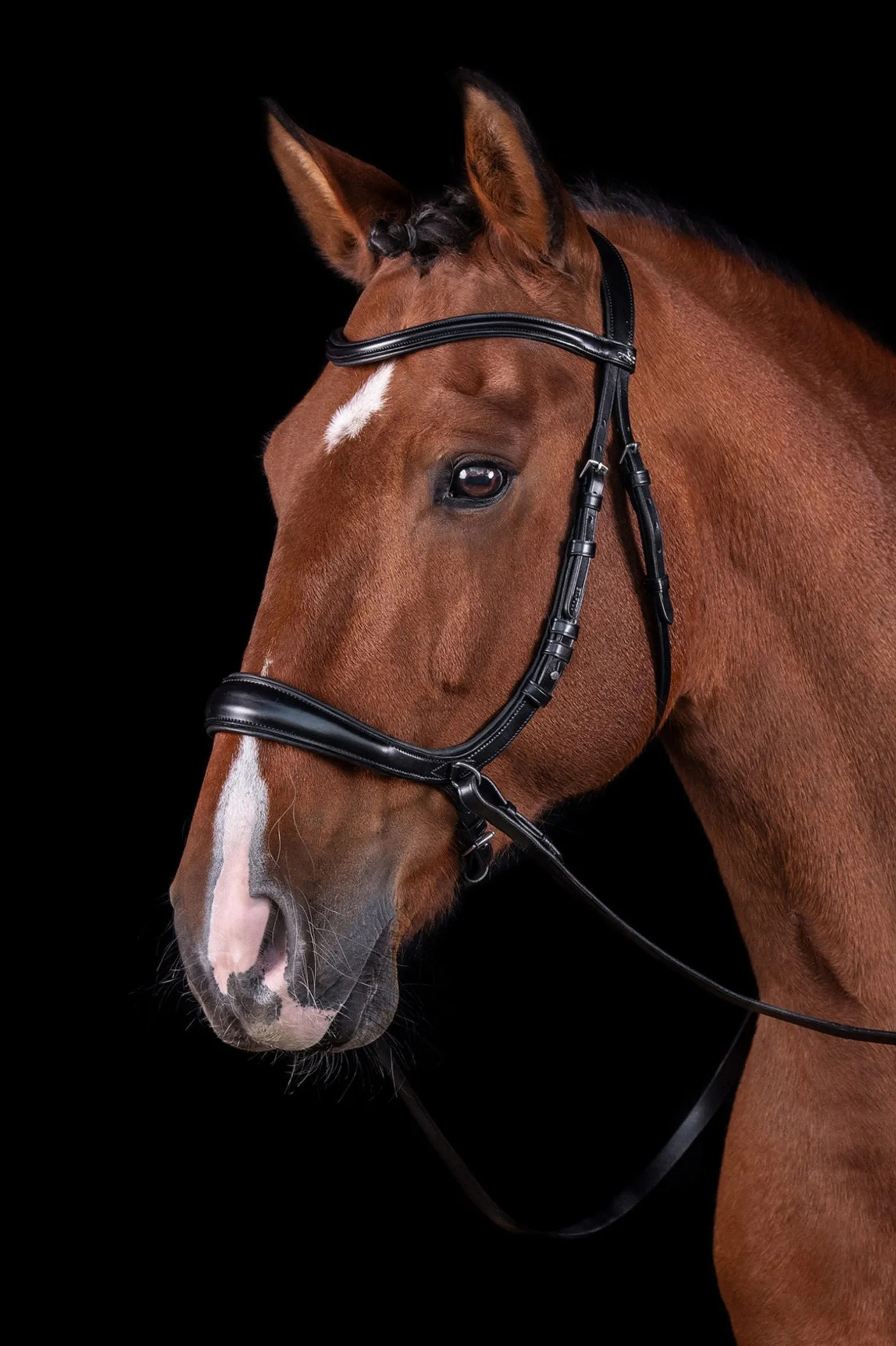 Equitus Theta 3in1 Trense