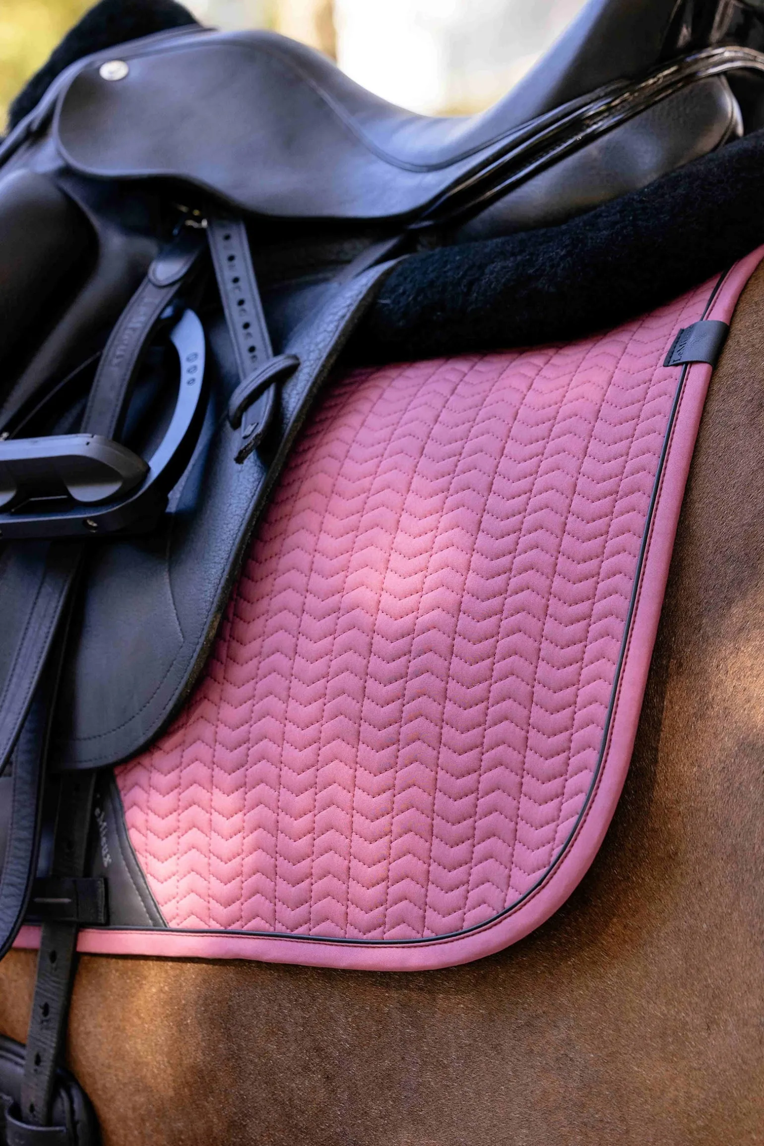 Essence Dressurschabracke