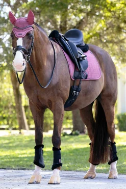 Essence Dressurschabracke