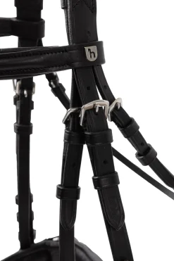 Eternal Gaze Dressurtrense