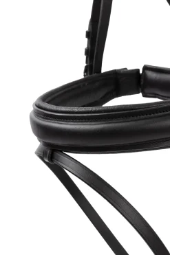 Eternal Gaze Dressurtrense