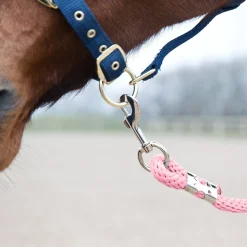 Führstrick, Karabinerhaken