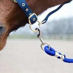 Führstrick, Karabinerhaken