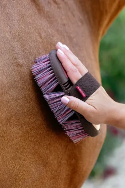 Flexi Flicky Bürste