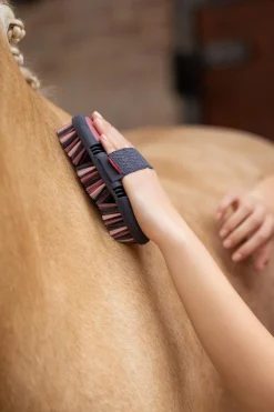 Flexi Soft Körperbürste