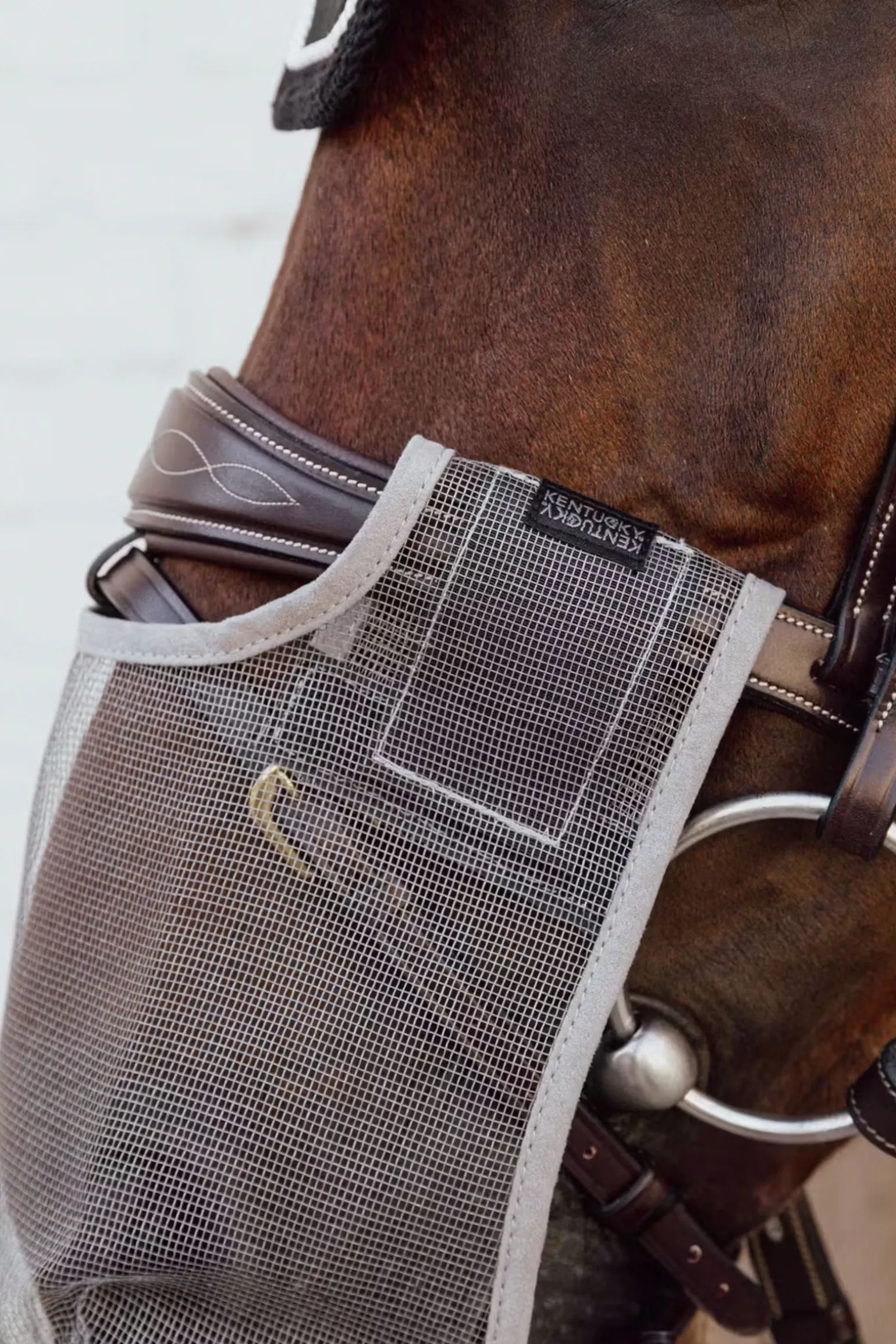 Fliegennetz für die Nüstern