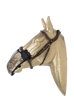 Fliegennetz für die Nüstern